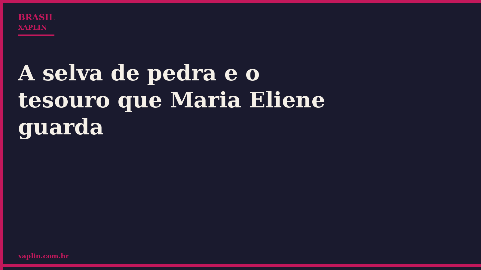 A selva de pedra e o tesouro que Maria Eliene guarda