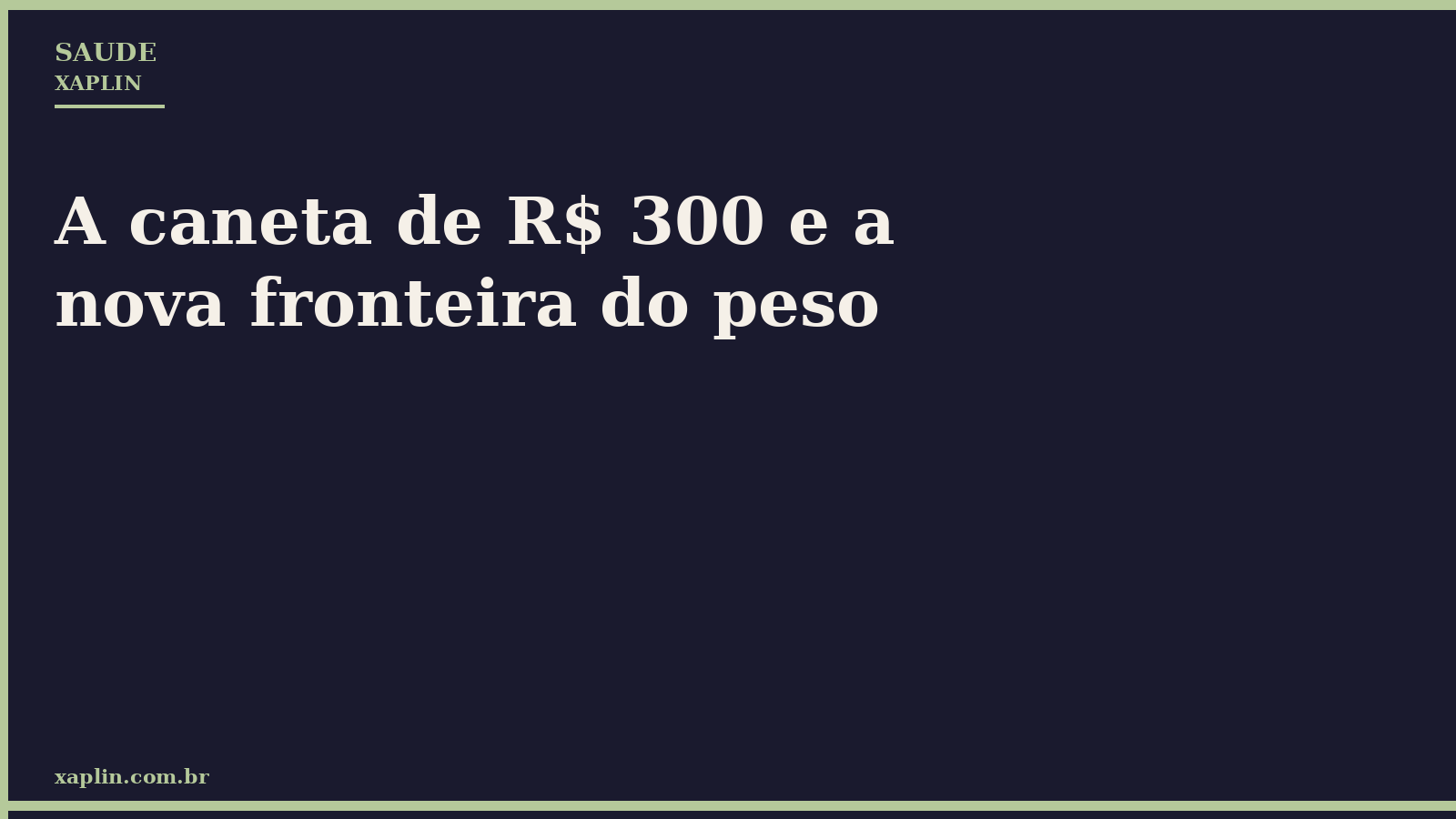 A caneta de R$ 300 e a nova fronteira do peso