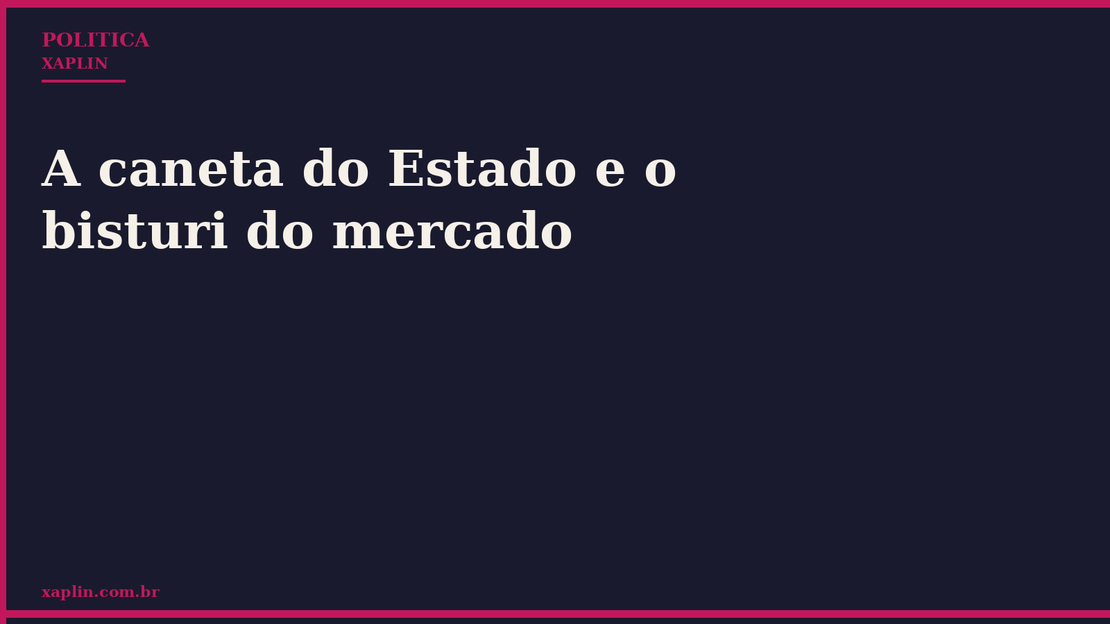 A caneta do Estado e o bisturi do mercado