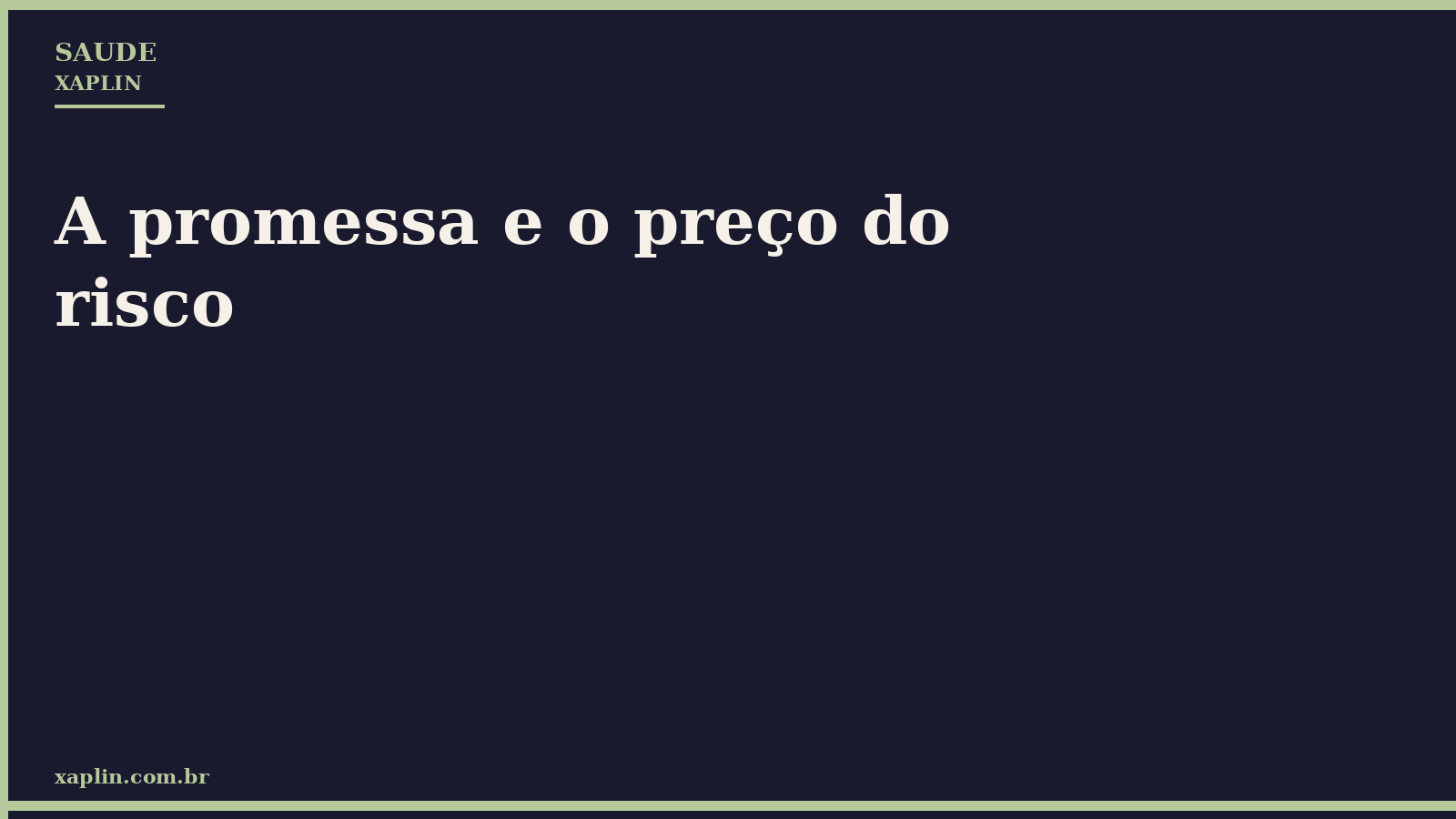 A promessa e o preço do risco