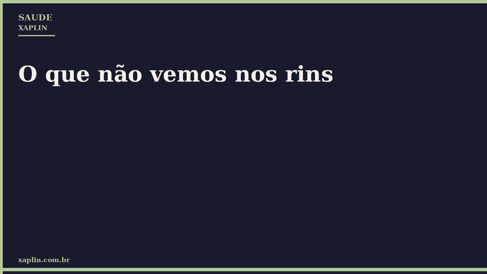 O que não vemos nos rins