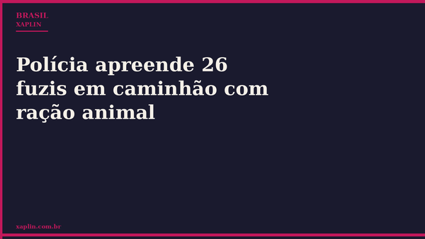 Polícia apreende 26 fuzis em caminhão com ração animal