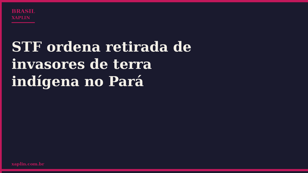 STF ordena retirada de invasores de terra indígena no Pará