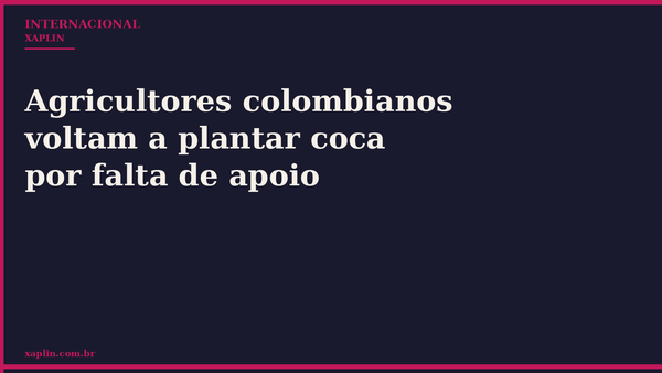 Agricultores colombianos voltam a plantar coca por falta de apoio