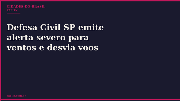 Defesa Civil SP emite alerta severo para ventos e desvia voos