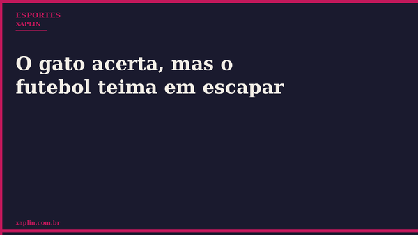O gato acerta, mas o futebol teima em escapar